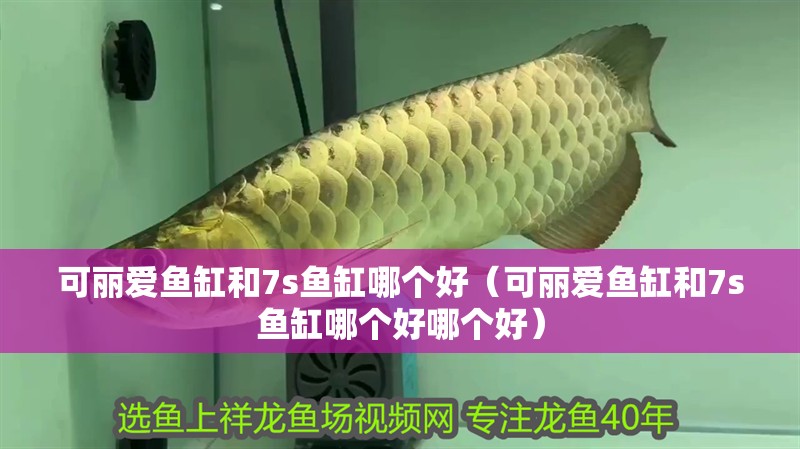 可麗愛魚缸和7s魚缸哪個好（可麗愛魚缸和7s魚缸哪個好哪個好）