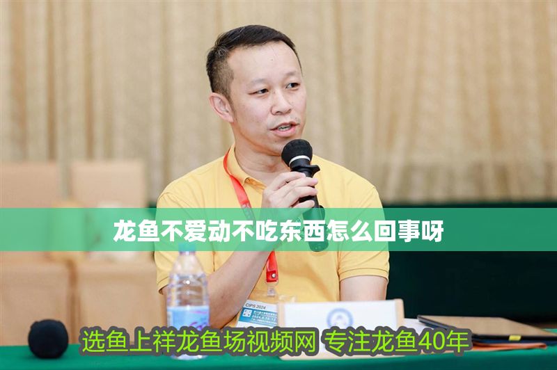龍魚不愛動不吃東西怎么回事呀