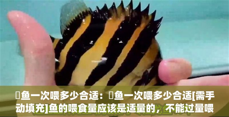 魟魚一次喂多少合適：魟魚一次喂多少合適[需手動填充]魚的喂食量應該是適量的，不能過量喂食