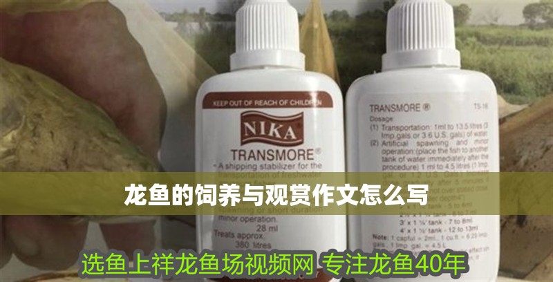 龍魚的飼養與觀賞作文怎么寫