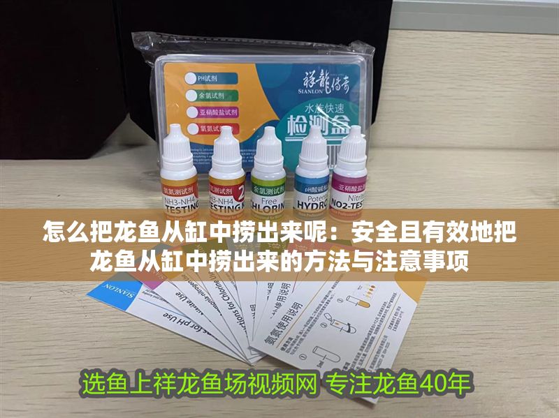 怎么把龍魚從缸中撈出來呢：安全且有效地把龍魚從缸中撈出來的方法與注意事項