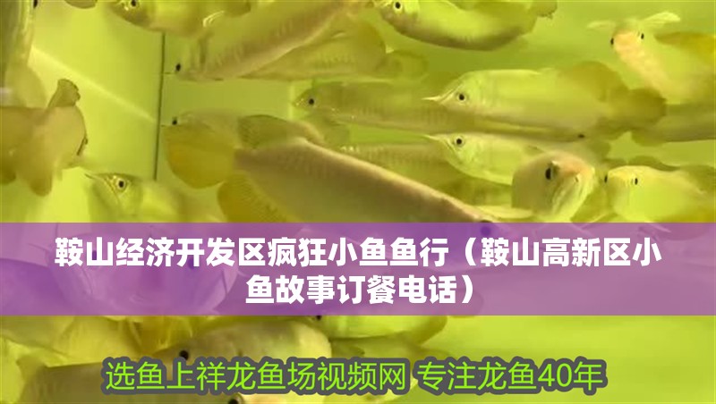 鞍山經濟開發區瘋狂小魚魚行（鞍山高新區小魚故事訂餐電話）