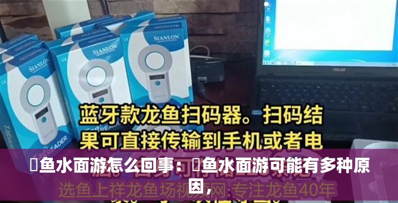 魟魚(yú)水面游怎么回事:魟魚(yú)水面游可能有多種原因, 魟魚(yú)百科 第2張 魟魚(yú)水面游怎么回事:魟魚(yú)水面游可能有多種原因, 魟魚(yú)水面游怎么回事:魟魚(yú)水面游可能有多種原因, 魟魚(yú)百科 第2張