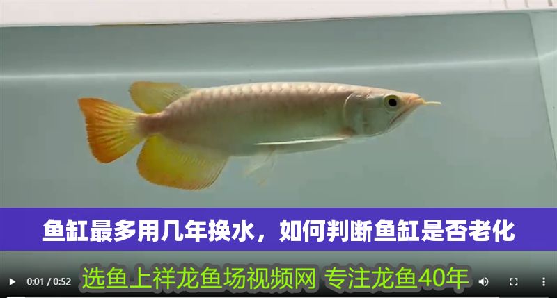 魚缸最多用幾年換水，如何判斷魚缸是否老化