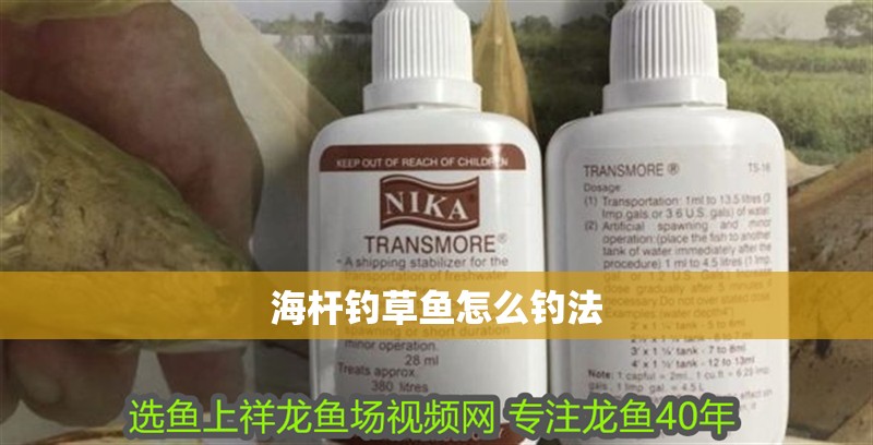 海桿釣草魚怎么釣法
