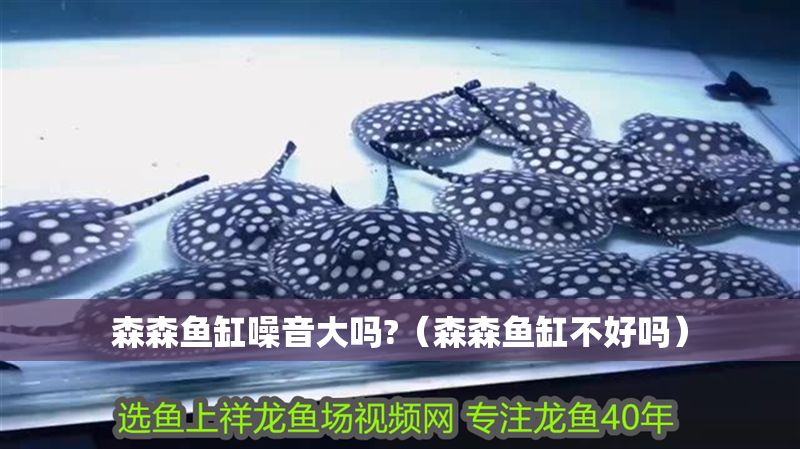 森森魚缸噪音大嗎?（森森魚缸不好嗎）