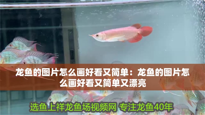 龍魚的圖片怎么畫好看又簡單：龍魚的圖片怎么畫好看又簡單又漂亮