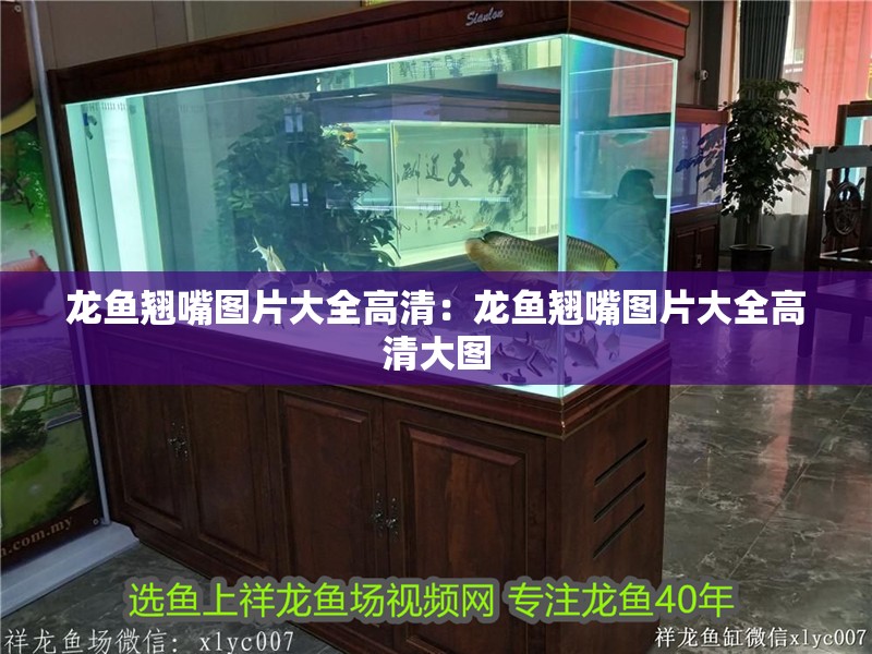 龍魚翹嘴圖片大全高清：龍魚翹嘴圖片大全高清大圖