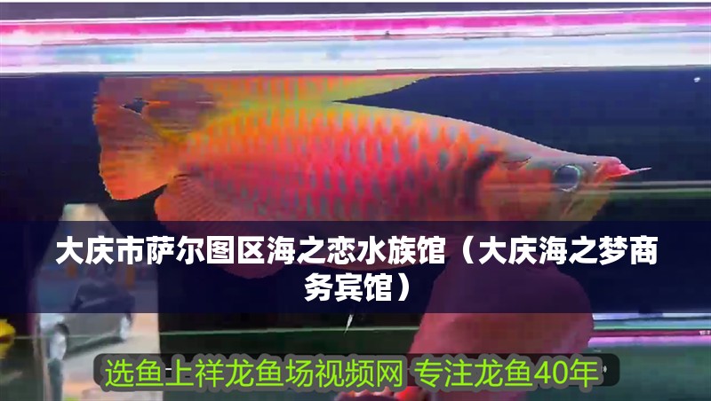 大慶市薩爾圖區(qū)海之戀水族館（大慶海之夢商務賓館）