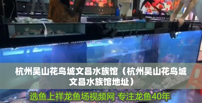 杭州吳山花鳥城文昌水族館（杭州吳山花鳥城文昌水族館地址）