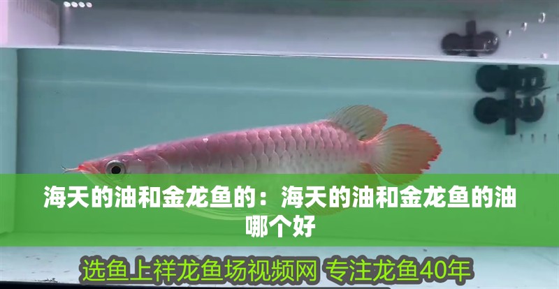 海天的油和金龍魚的：海天的油和金龍魚的油哪個好