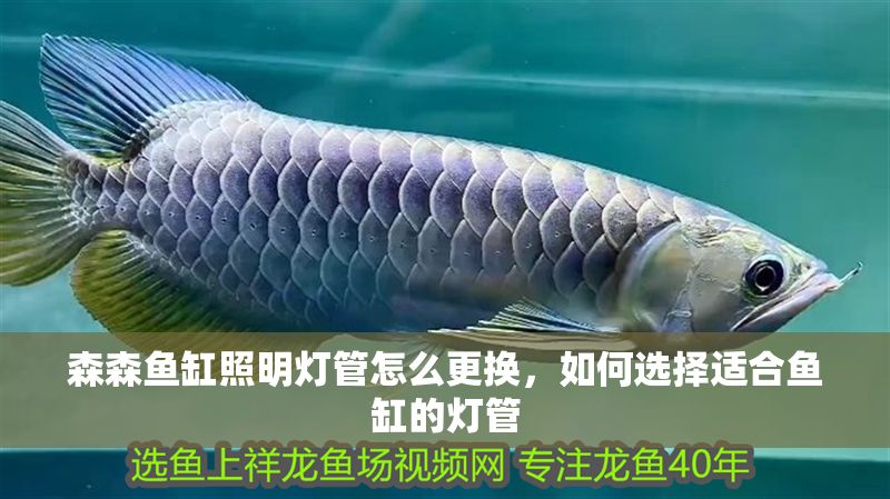 森森魚缸照明燈管怎么更換，如何選擇適合魚缸的燈管