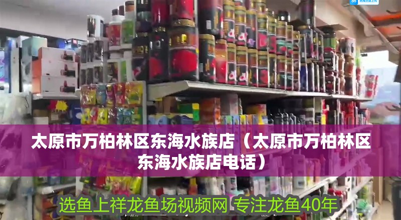 太原市萬柏林區(qū)東海水族店（太原市萬柏林區(qū)東海水族店電話）