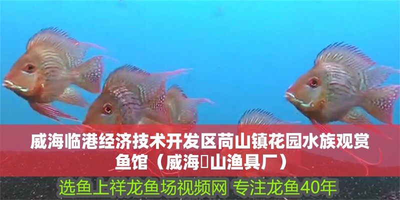 威海臨港經(jīng)濟(jì)技術(shù)開發(fā)區(qū)苘山鎮(zhèn)花園水族觀賞魚館（威海蔄山漁具廠）