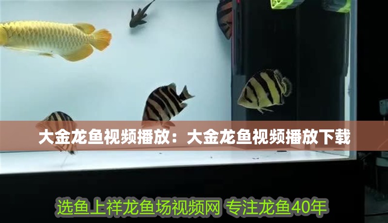 博特水泵插上控制器不能用了嗎怎么回事：博特水泵插上控制器不能用了嗎