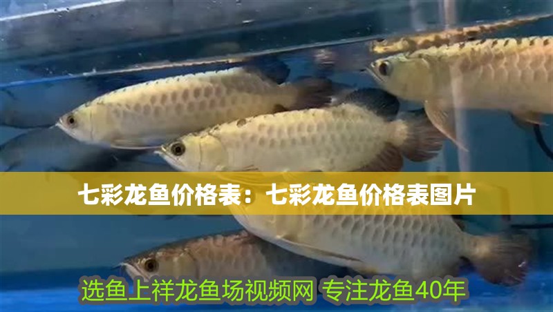 2024年魚缸放在哪個位置好：2024年魚缸最佳擺放位置應該是家中的財位或者明財位