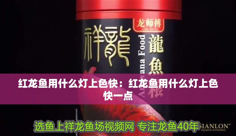 紅龍魚用什么燈上色快：紅龍魚用什么燈上色快一點