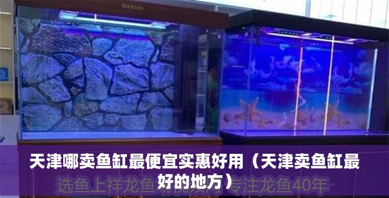 天津哪賣魚缸最便宜實惠好用（天津賣魚缸最好的地方）