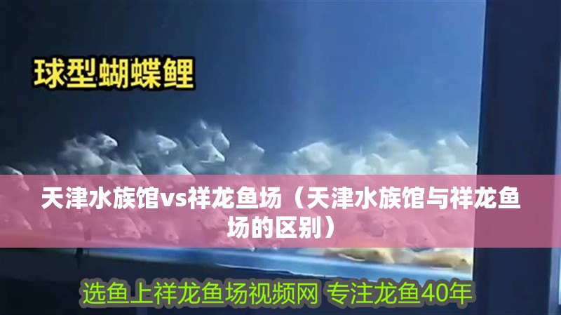 天津水族館vs祥龍魚(yú)場(chǎng)（天津水族館與祥龍魚(yú)場(chǎng)的區(qū)別）