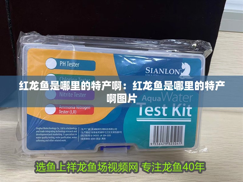 紅龍魚是哪里的特產(chǎn)啊：紅龍魚是哪里的特產(chǎn)啊圖片