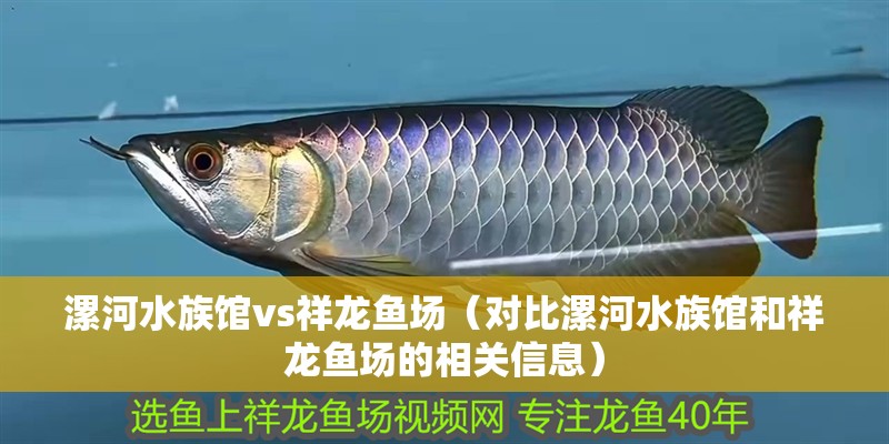 漯河水族館vs祥龍魚場（對(duì)比漯河水族館和祥龍魚場的相關(guān)信息）
