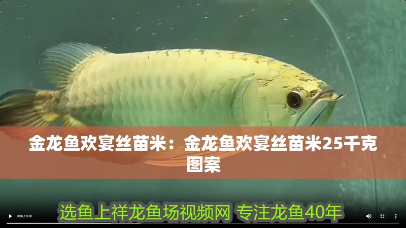 金龍魚歡宴絲苗米：金龍魚歡宴絲苗米25千克圖案