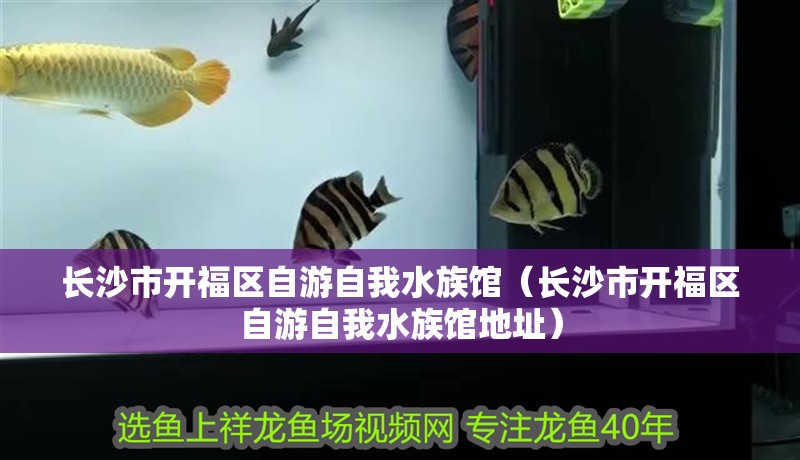 長沙市開福區自游自我水族館（長沙市開福區自游自我水族館地址）