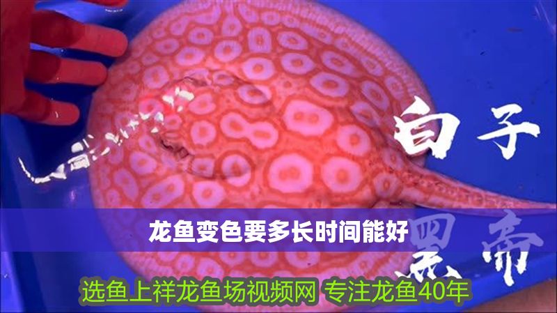 龍魚變色要多長時間能好