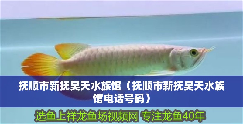 撫順市新撫昊天水族館（撫順市新撫昊天水族館電話號碼）