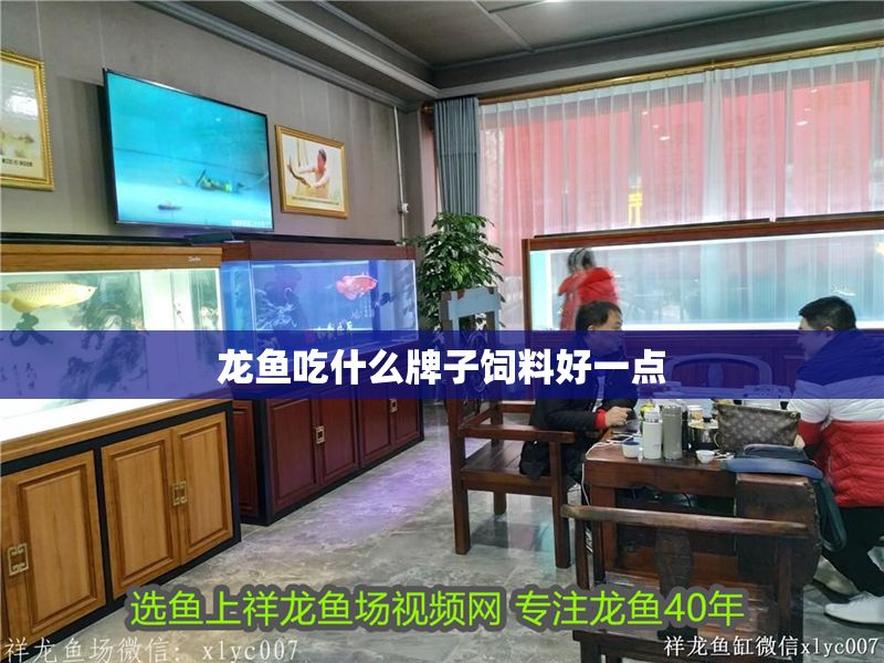龍魚吃什么牌子飼料好一點
