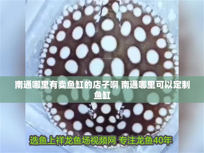 南通哪里有賣魚缸的店子啊 南通哪里可以定制魚缸