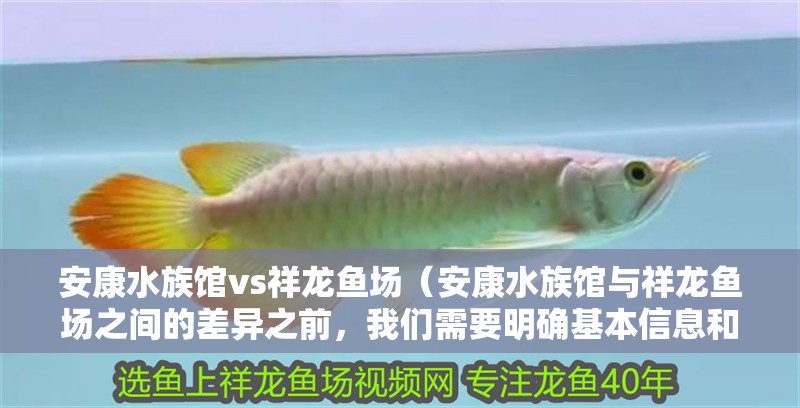 安康水族館vs祥龍魚場（安康水族館與祥龍魚場之間的差異之前，我們需要明確基本信息和特點）