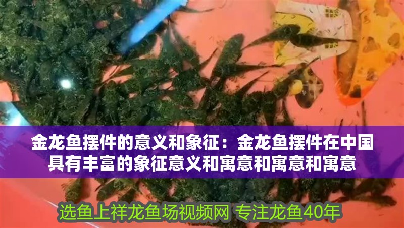 金龍魚擺件的意義和象征：金龍魚擺件在中國具有豐富的象征意義和寓意和寓意和寓意
