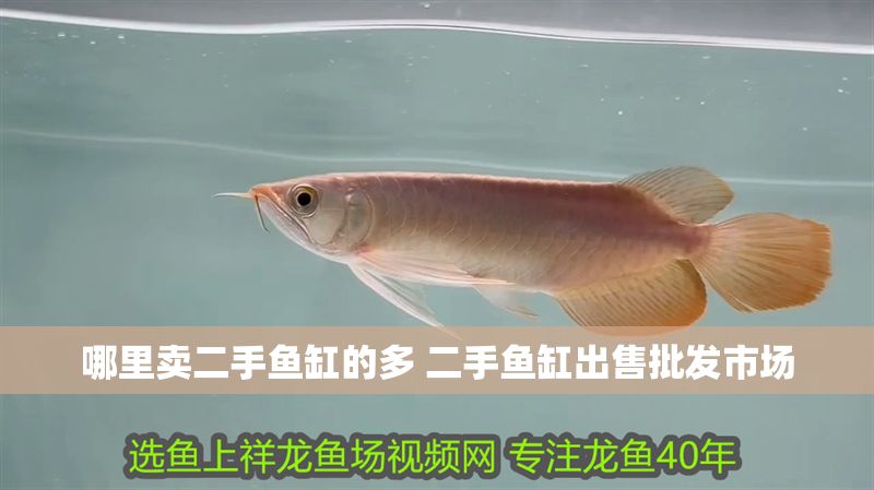 哪里賣二手魚缸的多 二手魚缸出售批發市場