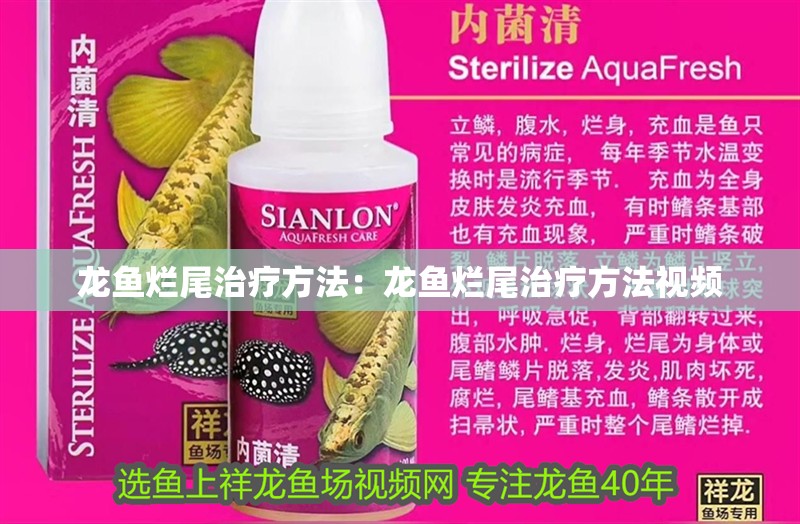 龍魚爛尾治療方法：龍魚爛尾治療方法視頻