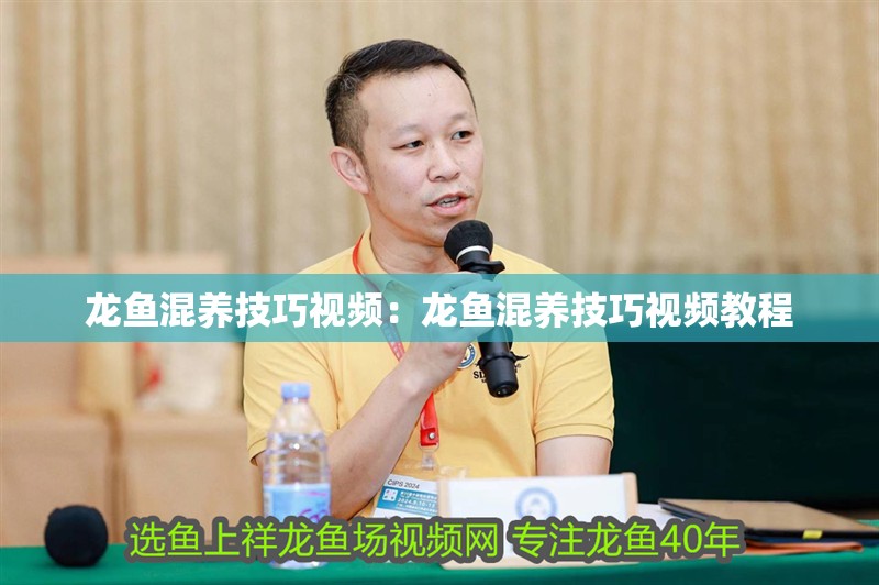 龍魚混養技巧視頻：龍魚混養技巧視頻教程