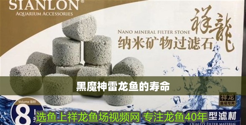 黑魔神雷龍魚的壽命