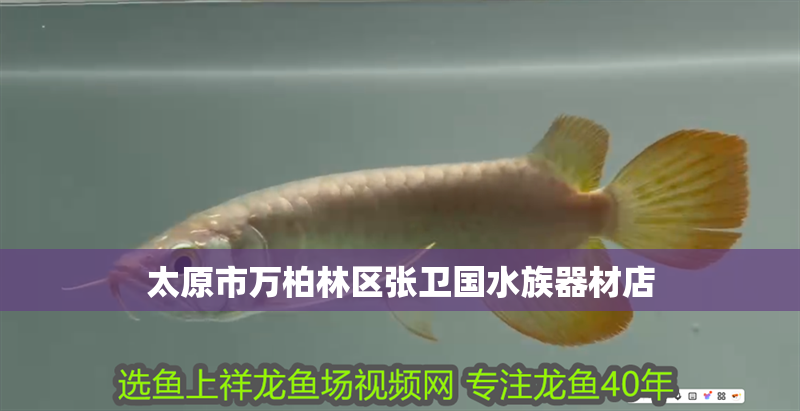 太原市萬柏林區(qū)張衛(wèi)國水族器材店