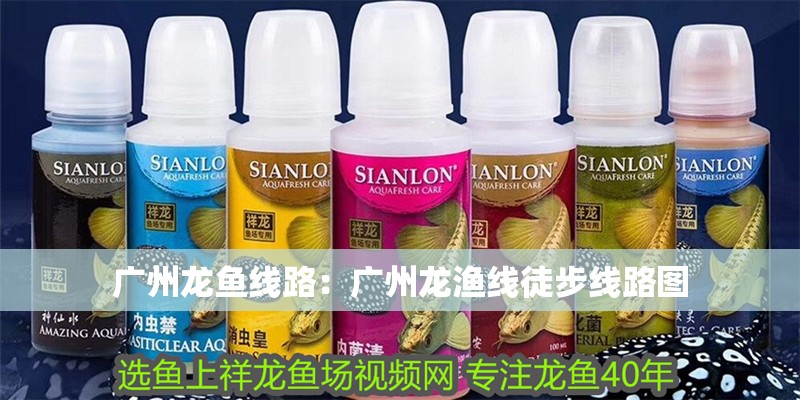 廣州龍魚線路：廣州龍漁線徒步線路圖