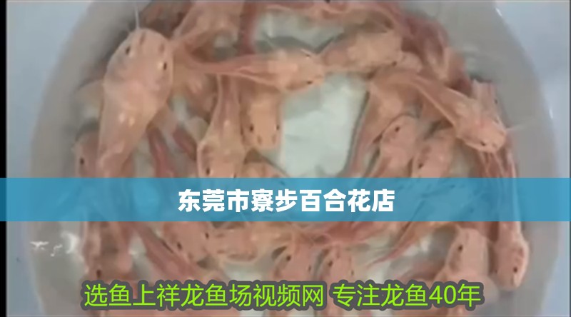 東莞市寮步百合花店