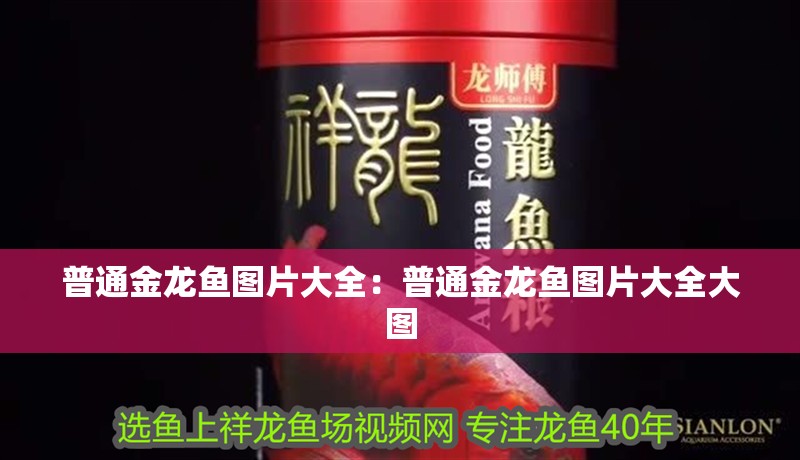 普通金龍魚圖片大全：普通金龍魚圖片大全大圖
