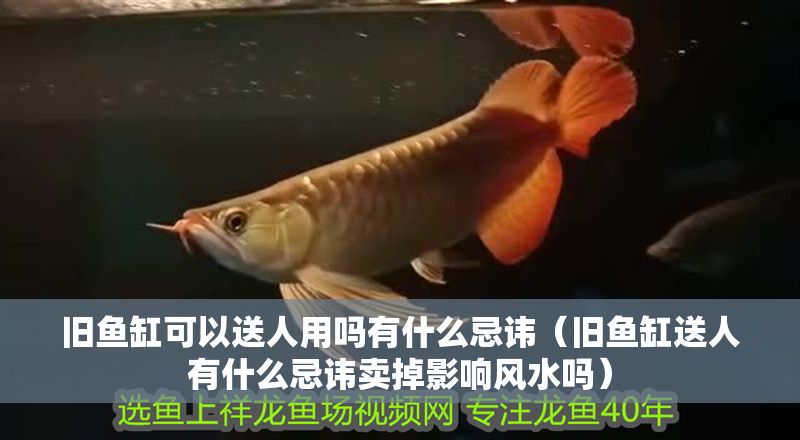 舊魚缸可以送人用嗎有什么忌諱（舊魚缸送人有什么忌諱賣掉影響風水嗎）