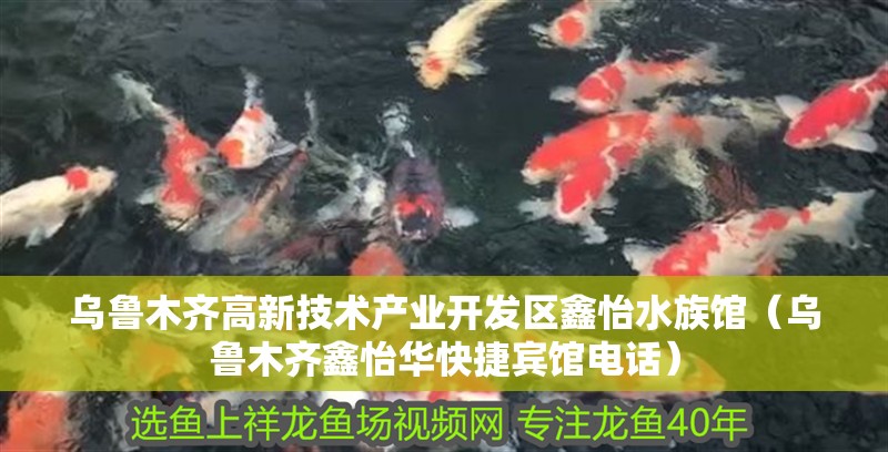 烏魯木齊高新技術產業開發區鑫怡水族館（烏魯木齊鑫怡華快捷賓館電話）