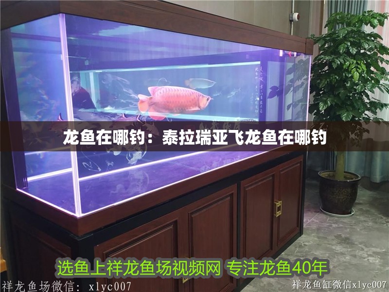 關于博特（BOX&amp;WATER）魚缸的信息