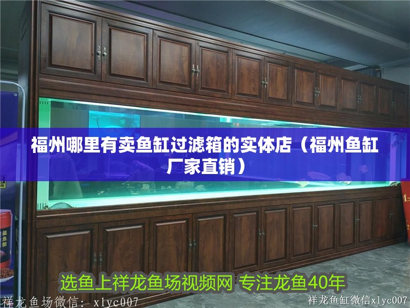 福州哪里有賣魚缸過濾箱的實(shí)體店（福州魚缸廠家直銷）