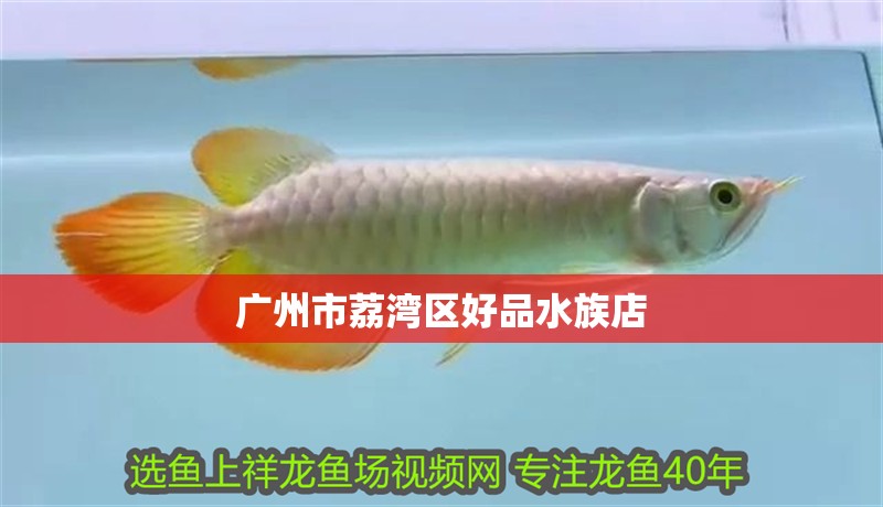 廣州市荔灣區好品水族店