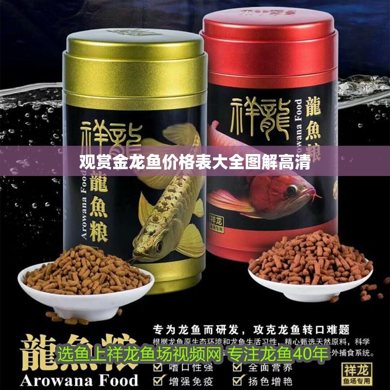 觀賞金龍魚價(jià)格表大全圖解高清