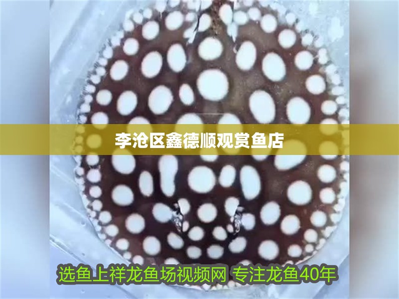 李滄區鑫德順觀賞魚店