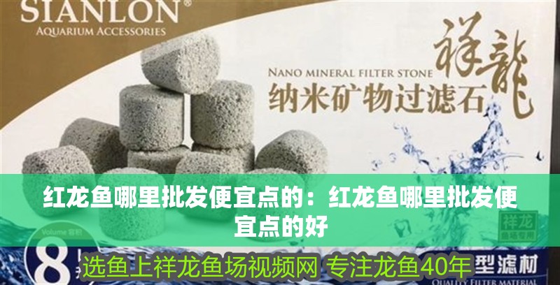 紅龍魚(yú)哪里批發(fā)便宜點(diǎn)的：紅龍魚(yú)哪里批發(fā)便宜點(diǎn)的好