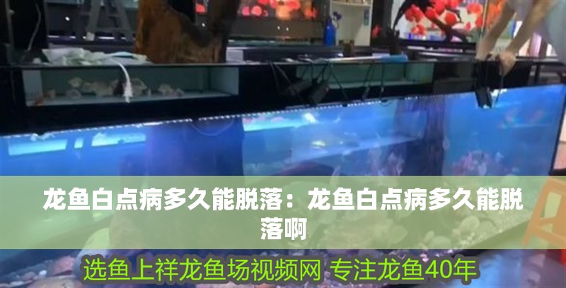 龍魚白點病多久能脫落:龍魚白點病多久能脫落啊 水族問答 龍魚白點病多久能脫落:龍魚白點病多久能脫落啊 龍魚白點病多久能脫落:龍魚白點病多久能脫落啊 水族問答